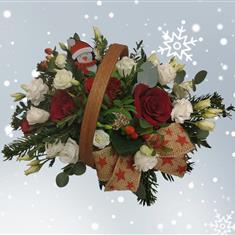   Rudolph